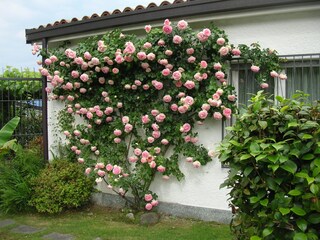 Appartamento per vacanze Porto Valtravaglia Registrazione all'aperto 8