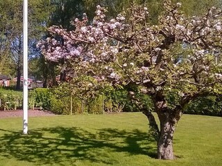 Ferienhaus Stenkullen Außenaufnahme 8