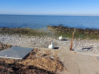 Apartment Bogense  35