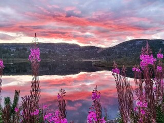 Casa de vacaciones Bygland Grabación al aire libre 8