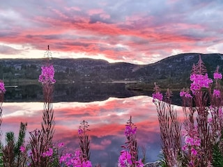 Vakantiehuis Bygland Buitenaudio-opname 6