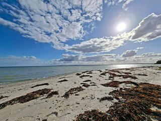 Casa per le vacanze Aarhus  30