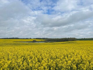 Holiday house Vorupør  5