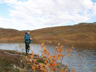 Maison de vacances Norwegen  4