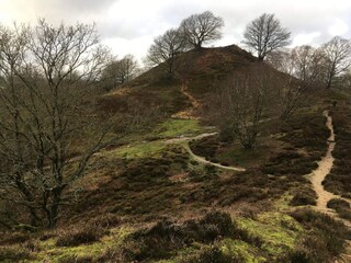 Ferienhaus Gjern  19