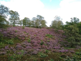 Ferienhaus Gjern  15