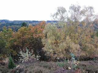 Vakantiehuis Gjern  43