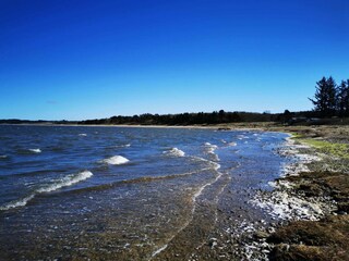 Ferienhaus Hvalpsund  21