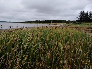 Holiday house Hvalpsund  25