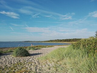 Vakantiehuis Hvalpsund  21