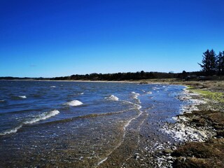 Vakantiehuis Hvalpsund  11