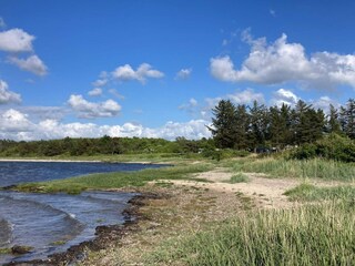 Vakantiehuis Hvalpsund  28