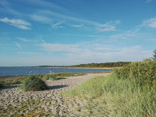 Holiday house Hvalpsund  35