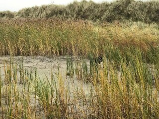 Casa de vacaciones Læsø  28