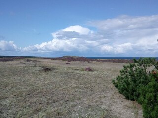 Ferienhaus Læsø  9