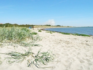 Ferienhaus Dannemare  4