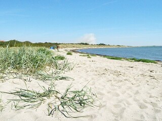 Vakantiehuis Dannemare  4