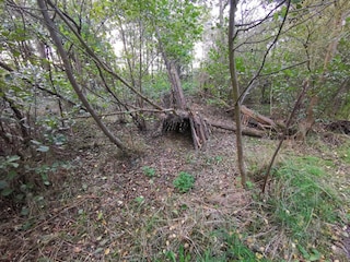 Ferienhaus Dannemare  37