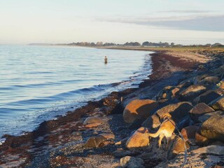 Holiday house Dannemare  30