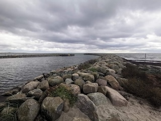 Ferienhaus Dannemare  31