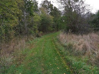 Ferienhaus Dannemare  26