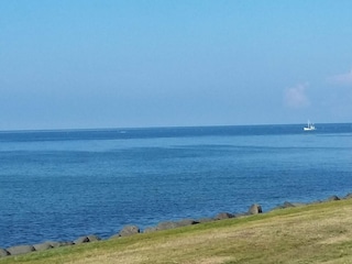 Ferienhaus Dannemare  29