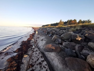 Ferienhaus Dannemare  32