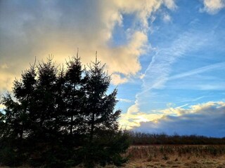 Casa per le vacanze Rønde  26