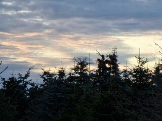 Vakantiehuis Rønde  17