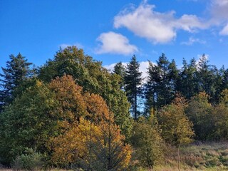 Vakantiehuis Rønde  18