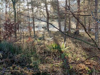 Vakantiehuis Rønde  19