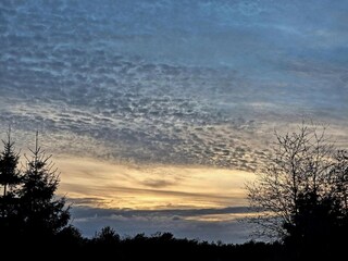 Vakantiehuis Rønde  22