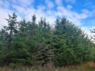 Vakantiehuis Rønde  24