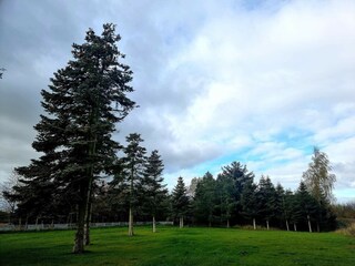 Casa per le vacanze Rønde  34