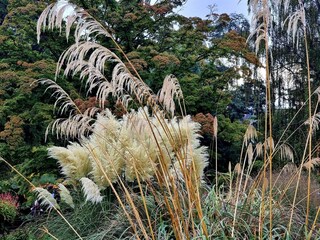 Vakantiehuis Rønde  26