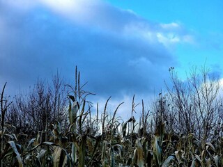 Casa de vacaciones Rønde  29