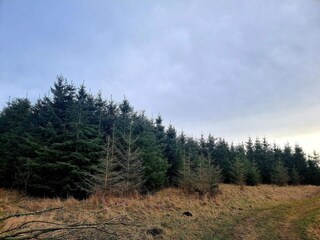 Casa per le vacanze Rønde  32