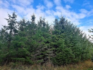 Casa per le vacanze Rønde  33