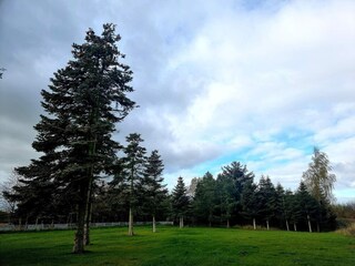 Casa de vacaciones Rønde  34