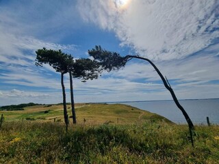 Casa de vacaciones Havnsø  19