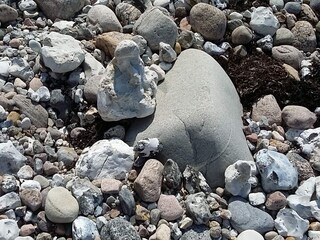 Holiday house Havnsø  9