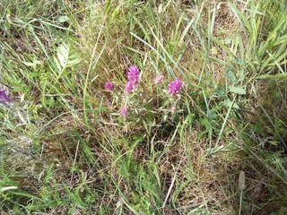 Vakantiehuis Havnsø  36