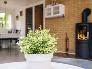 Casa per le vacanze Uslev  17