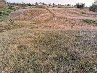 Ferienhaus Frederikshavn  8