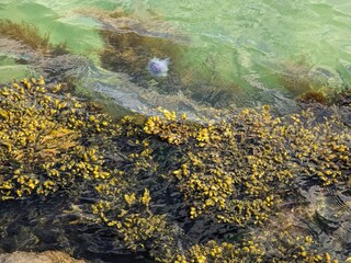 Casa per le vacanze Frederikshavn  30