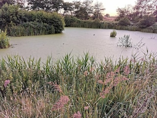 Vakantiehuis Frederikshavn  38