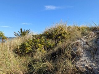 Casa de vacaciones Frederikshavn  12