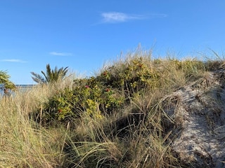 Ferienhaus Frederikshavn  12