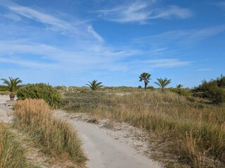 Casa per le vacanze Frederikshavn  13