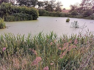 Casa de vacaciones Frederikshavn  38